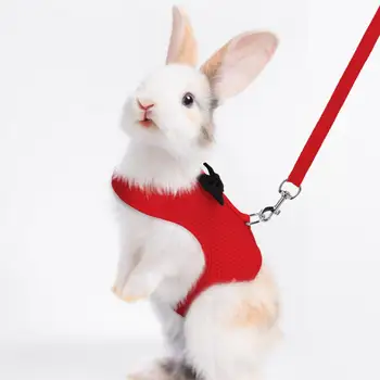 1 комплект шлейки для домашних животных, поводок, стильный бант, украшение для маленьких домашних животных, шлейка для кролика для прогулок на свежем воздухе