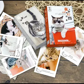 36 листов/набор Хочу быть открыткой в кошачьем стиле / Поздравительная открытка/ Открытка с сообщением/Рождественские и новогодние подарки